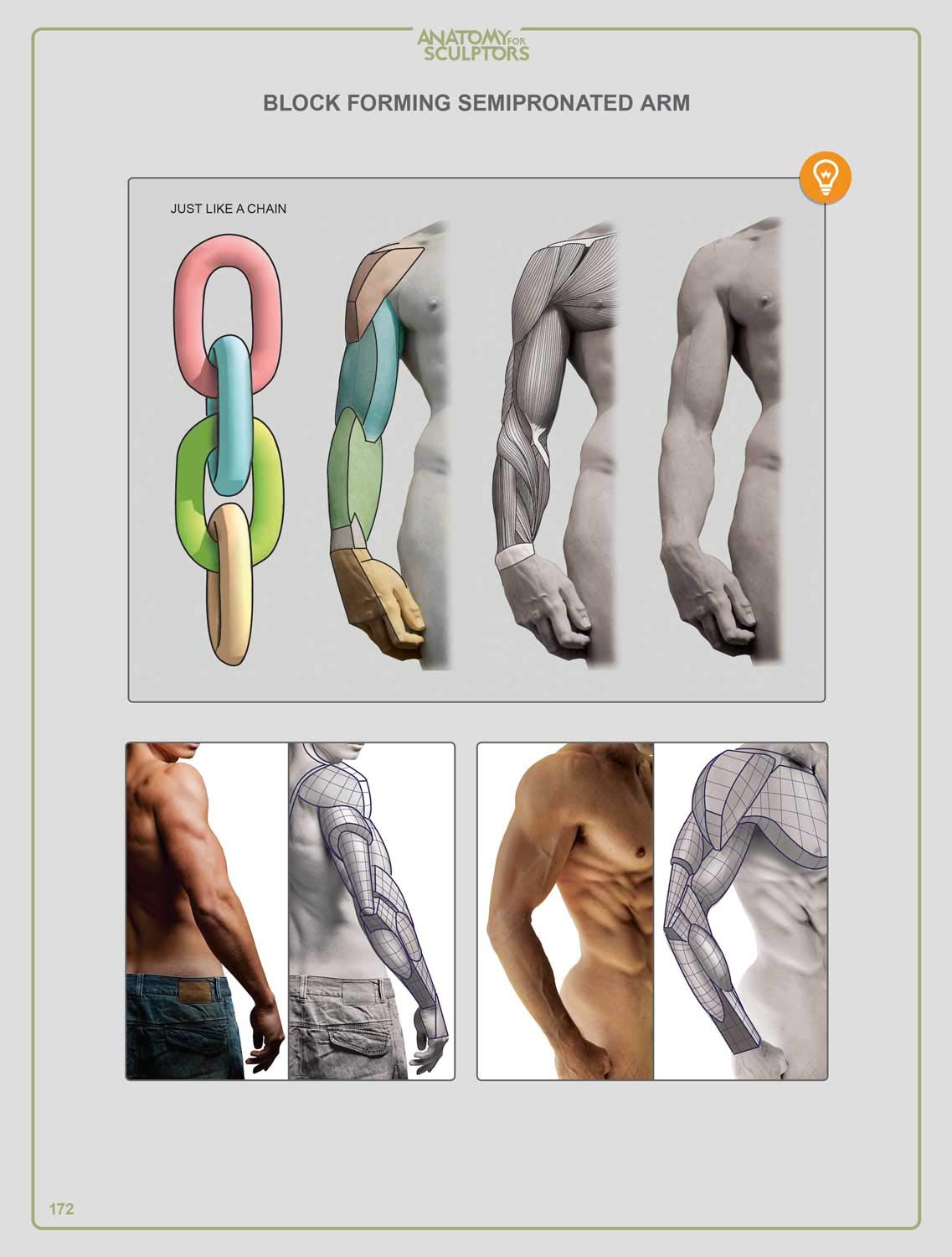 Anatomy For Sculptors, Understanding the Human Figure      Paperback – January 1, 2014
