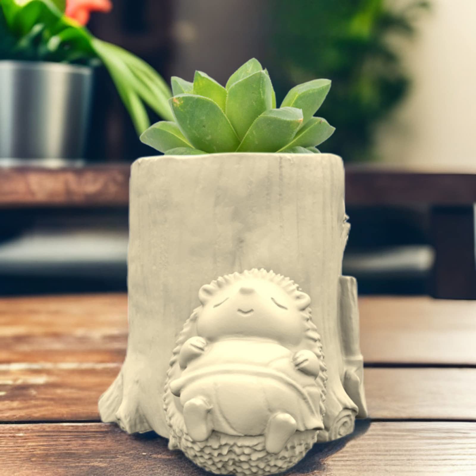 Moule en résine de Silicone pour Pot de fleurs succulentes,