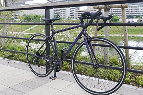 Amazon.co.jp: Takeda Sangyo: road・ロードバイク