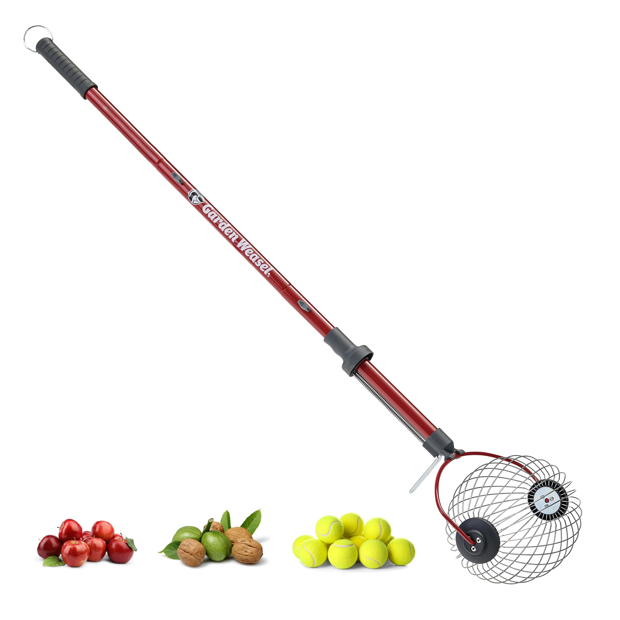 Amazon.com : GARDEN WEASEL Large Nut Gatherer Roller – Nut
