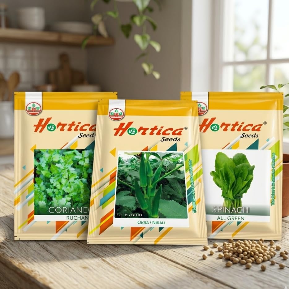 Vegetable Seed Pack | Okra Seeds, Spinach Seeds, Coriander Seeds | Suitable for terrace gardening | High germination and easy to grow-image-6
