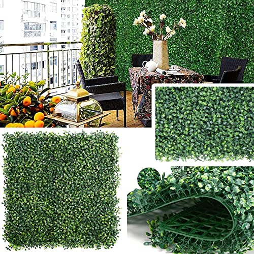 The Best Hedge Privacy Fence For 2022 BNB