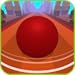 Roller Ball Race Ball