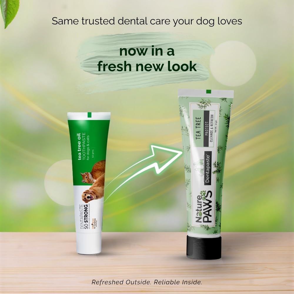 Orange Pet Nutrition Naturepaws Tea Tree Oil Dental Care Dentapaste for Dogs & Cats - 50gm Toothpaste with Brush - Fresh Breath, Tartar Control, Anti-Bacterial, Gum Health Support