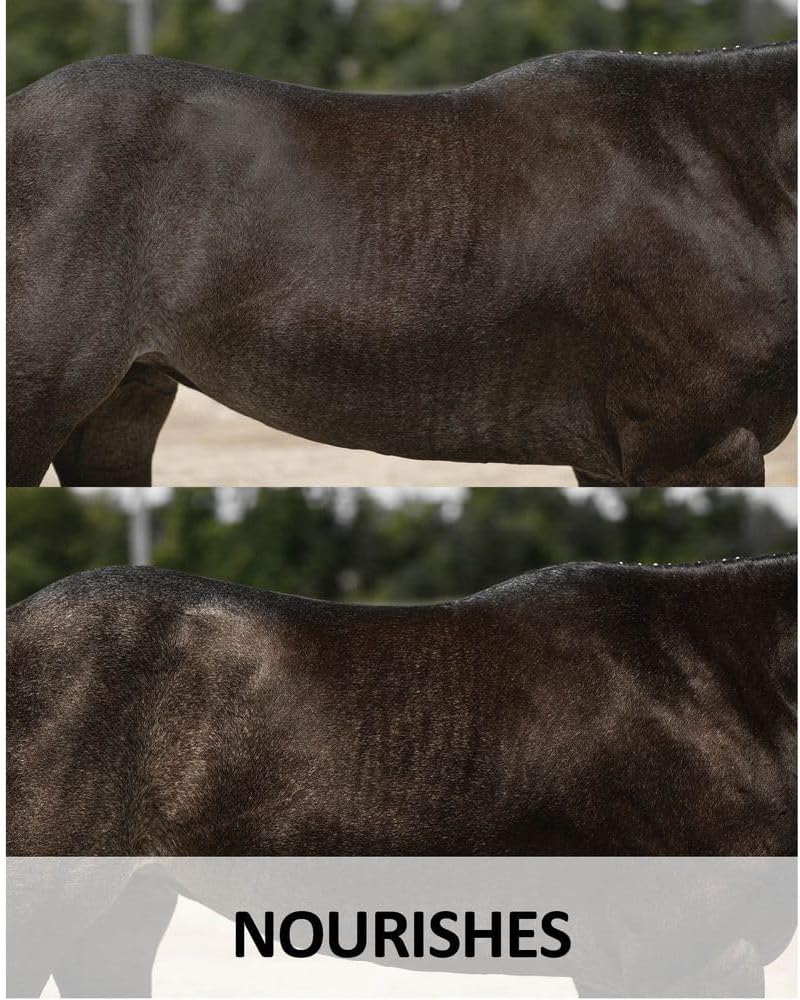 Ultra Conditioning Shampoo for Horses | Nourishes & Enhances Coat Shine | Size 128 oz. (Gallon)