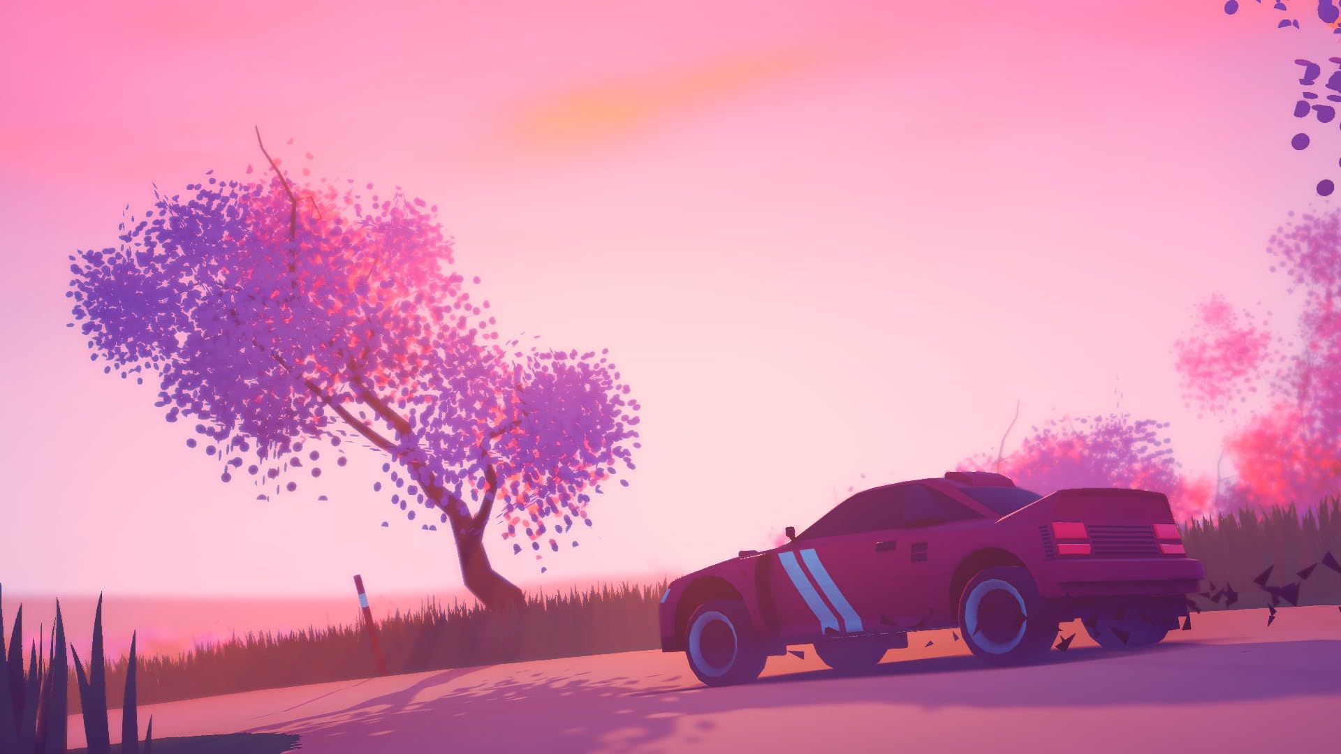Art Of Rally - Deluxe Edition Ps5