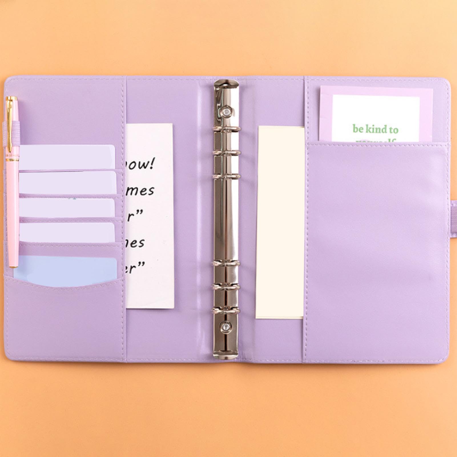 100 Spar Challenge Ordner - Budgetplaner Mit Umschlägen