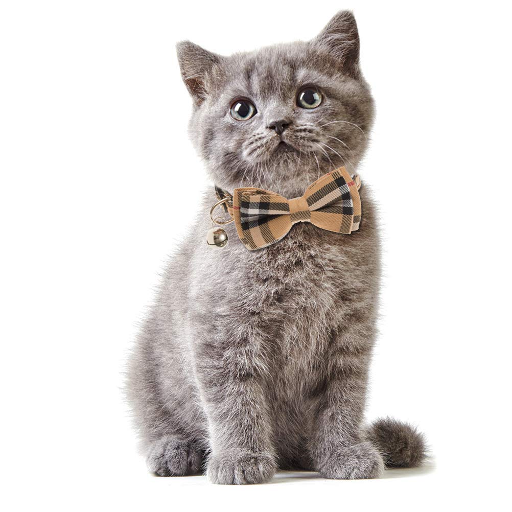 2 Stück Katzenhalsbänder Mit Schleife & Glocke - Verstellbar, Breakaway, Aus Weichem Polyester