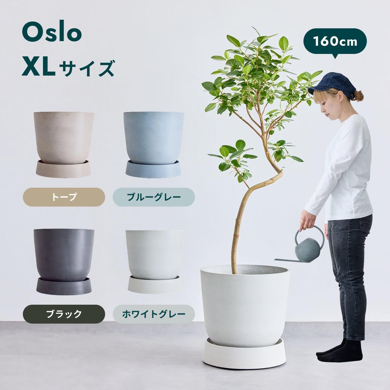 ECOPOTS | 12号鉢 Amazon.co.jp: ECOPOTS キャスター付き鉢皿 Oslo 12号鉢対応 鉢皿外径
