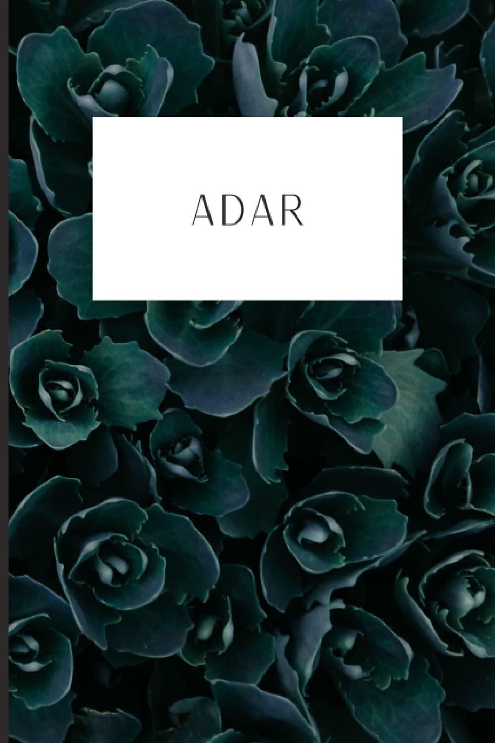 Hebrew Month Prayer Journal: Adar: Paperback, 120 Pages (Hebrew Month Prayer Journal: Spiritual Growth Series (Set of 12 Journals))