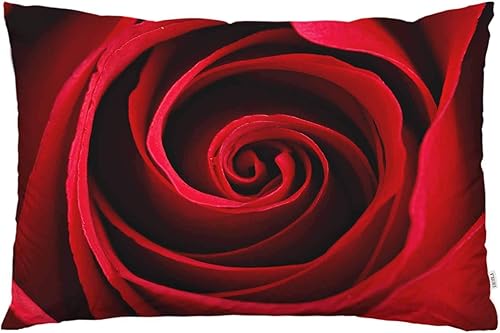 Miniatura 1 de EKOBLA Funda de almohada con aroma a rosa roja, floral, romántica, hermosa, elegante, natural, decoración lumbar, funda de almohada para sofá, cama,