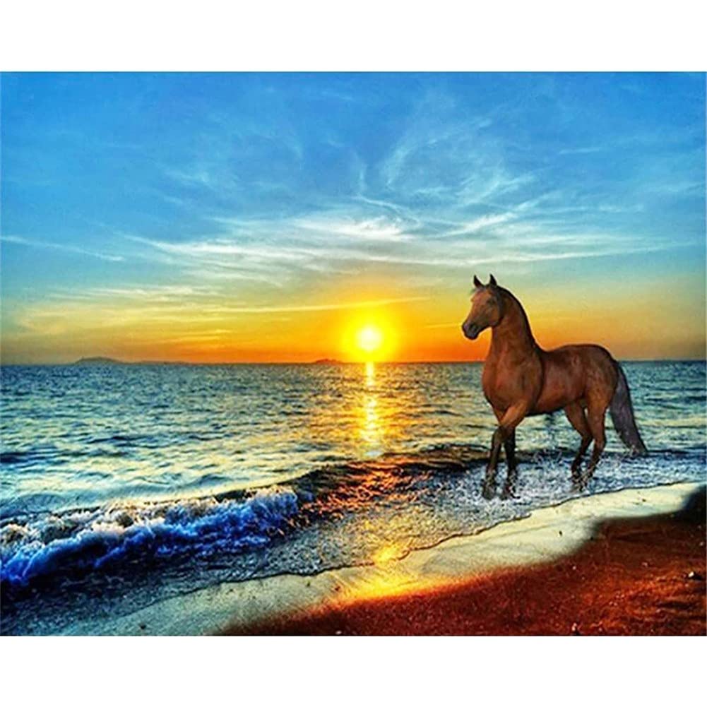 Diamond Painting Cavallo Bianco 50x40 Cm - Kit Tramonto Con Diamanti Rotondi Per Decorazione Murale - Foto 12