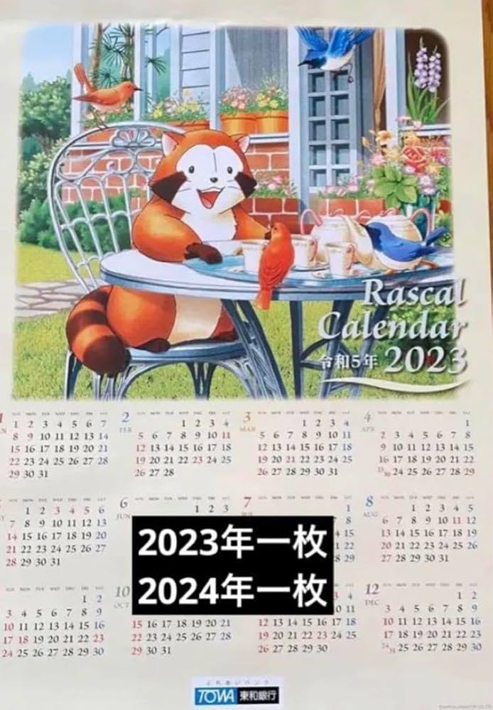 らすかる様 Zb1 まとめ買い トリックスター / Ninja ZX-25R(21-22) (23-24