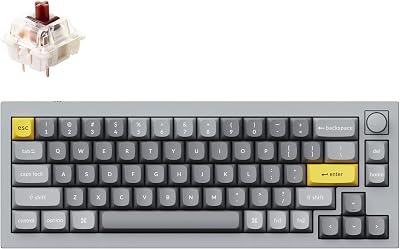 Keychron Q2 Wired 65% Mechanical Keyboard with Knob & RGB - Hot-Swappable Gateron G Pro Brown Switch, QMK/VIA Programmable, Double Gasket Mount, Aluminum Body for Mac/Windows/Linux (Grey)