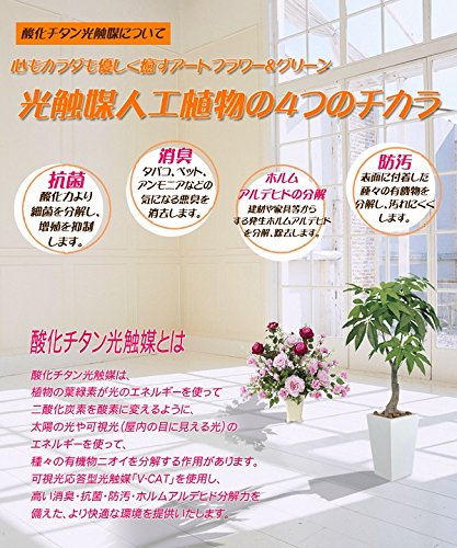 光触媒　人工観葉植物　フェイクグリーン　ドラセナコンパクタ1.25 光触媒 人工観葉植物 フェイクグリーン ドラセナコンパクタ1.25 その他