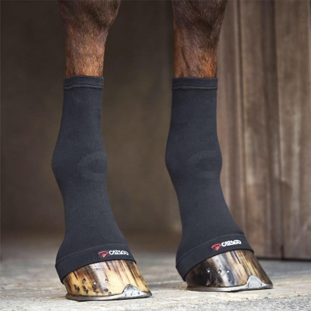 Catago Fir Tech Fetlock Socks Black One Size