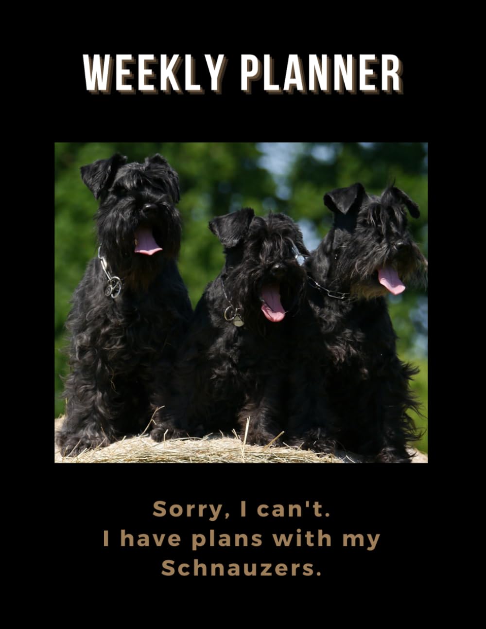 Black Miniature Schnauzer Planner: Schnauzer undated weekly planner 8.5 x 11, Schnauzer gifts,Black Miniature Schnauzer Gifts