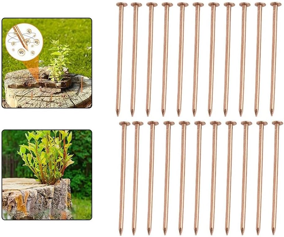 Copper Nails Tree Killing Spikes 3.5 Inch for Stump and Root Removal, Pure Copper Hardware for Damaging Unwanted Trees Without Disturbing Surroundings, Pack of 22