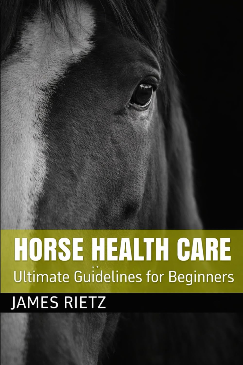HORSE HEALTH CARE: Ultimate Guidelines for Beginners