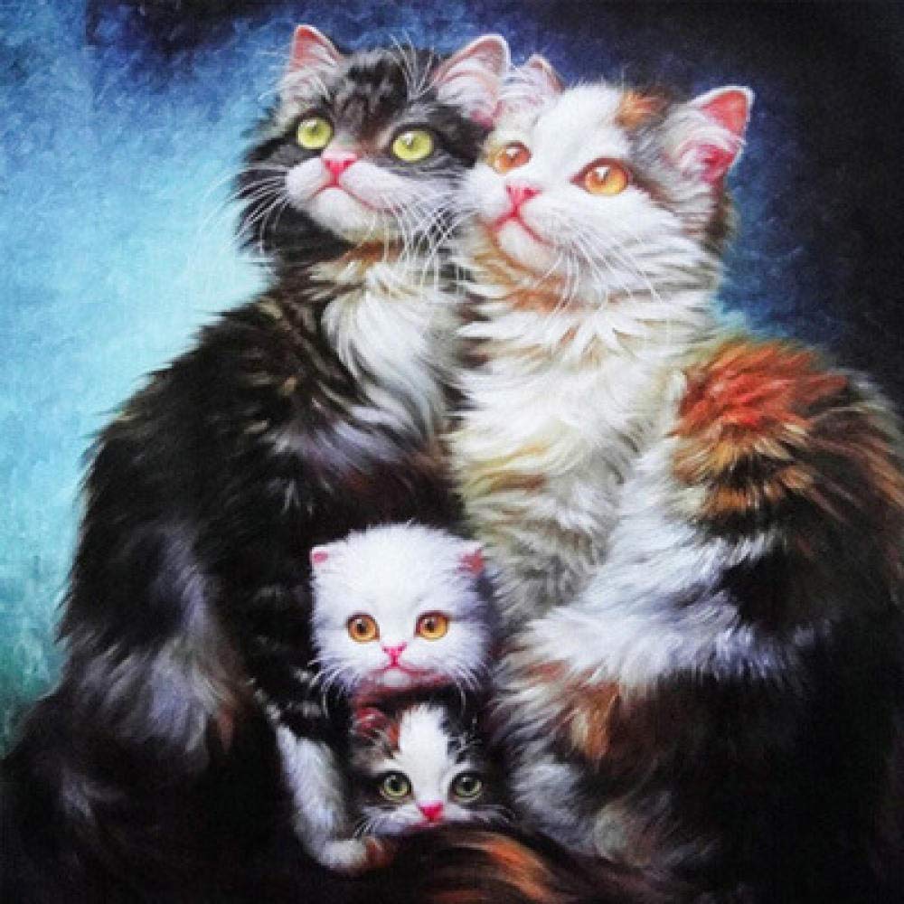 Peinture diamant 5D chat persan créez une œuvre d'art chaleureuse