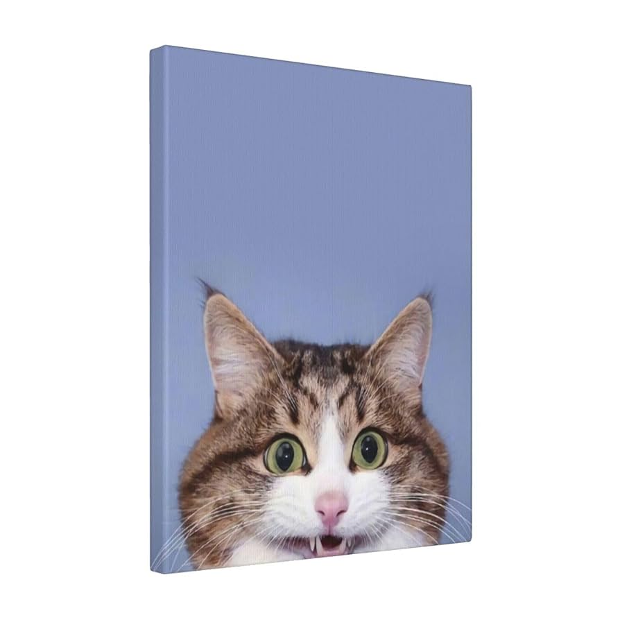 マイセン 猫 壁掛け 飾り絵 プレート マイセン 猫 壁掛け 飾り絵 プレート 猫 絵