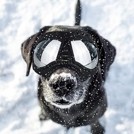 petleso dog goggles