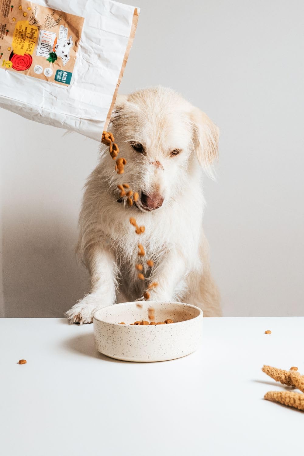 VEGDOG hypoallergenes Nassfutter (6 x 400 g) | Adulte Hunde | ohne Gluten und Soja | Alleinfutter für Allergiker mit Erbsenprotein