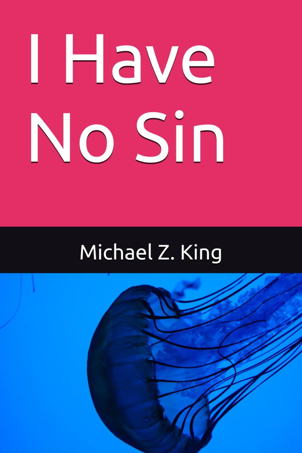 I Have No Sin
