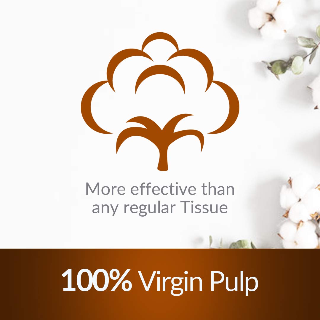 Cool & Cool Emotion Embossed Facial Tissues 200's (Pack of 5) - Soft, Soothing, and Convenient Box Pack for Refreshing Comfort 1000's