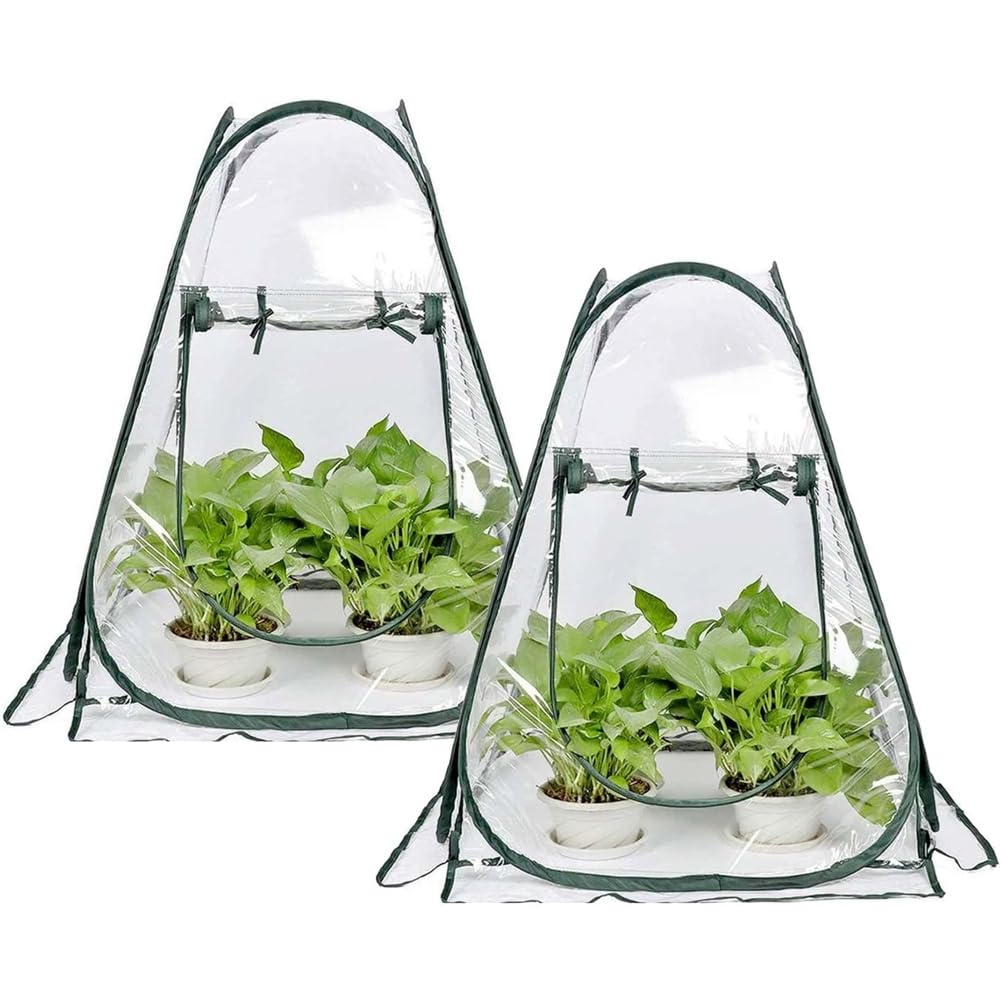 Udsknv[Ksl As Shown Mini Flower House Greenhouse Cover Popup Pack Of 2 Pcs, Gardening Plant Flower Sunshine Sunlight Room
