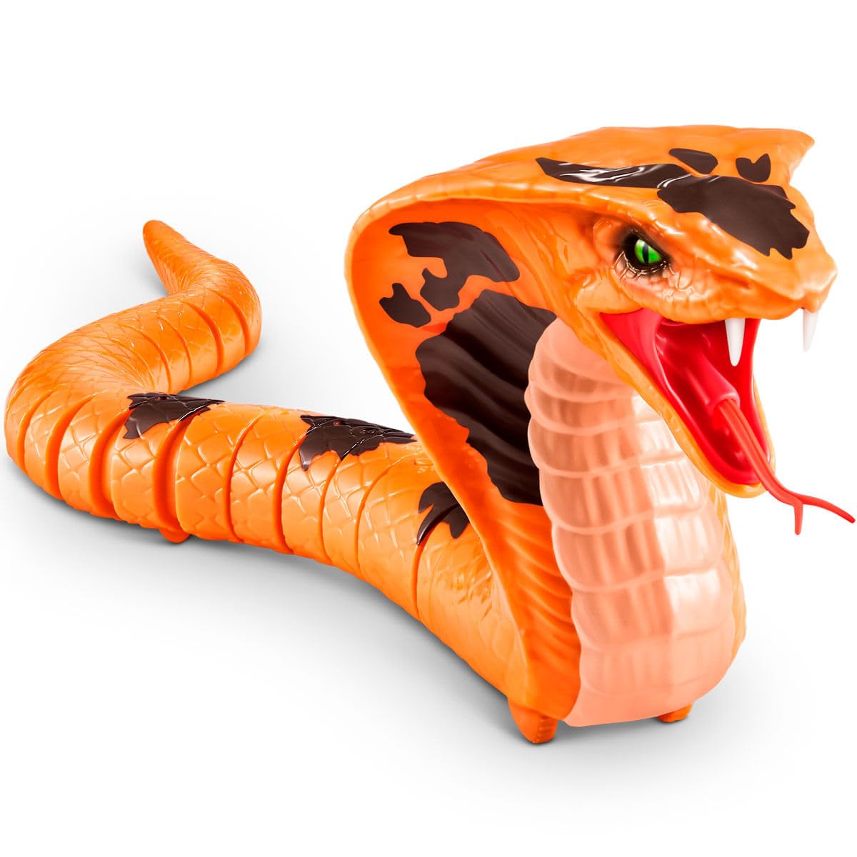 Amazon.com: Zuru Robbery Alive Cobra Real : Pet Supplies