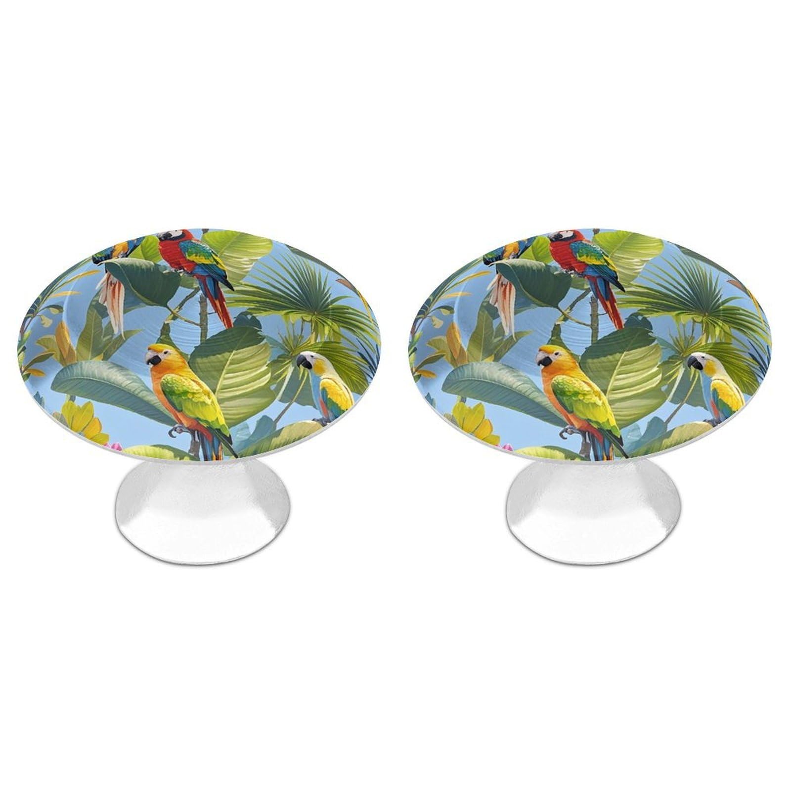 FekiLoot Tropical Plants and Parrots Cabinet Knobs 2 Pack Stainless Steel Round Dresser Drawer Knobs Kitchen Drawer Hardware Dresser Knob Closet Door Pulls Cabinet Handles for Cupboard Drawer Pulls