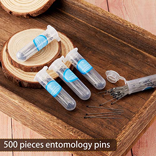 Image of WILLBOND 500 Pieces Stainless Steel Insect Pins Kit Specimen,2 Sizes | Entomology Pins for Butterfly Collections Insect Display Variety Pack for School Specimen Preparation Pin Collector