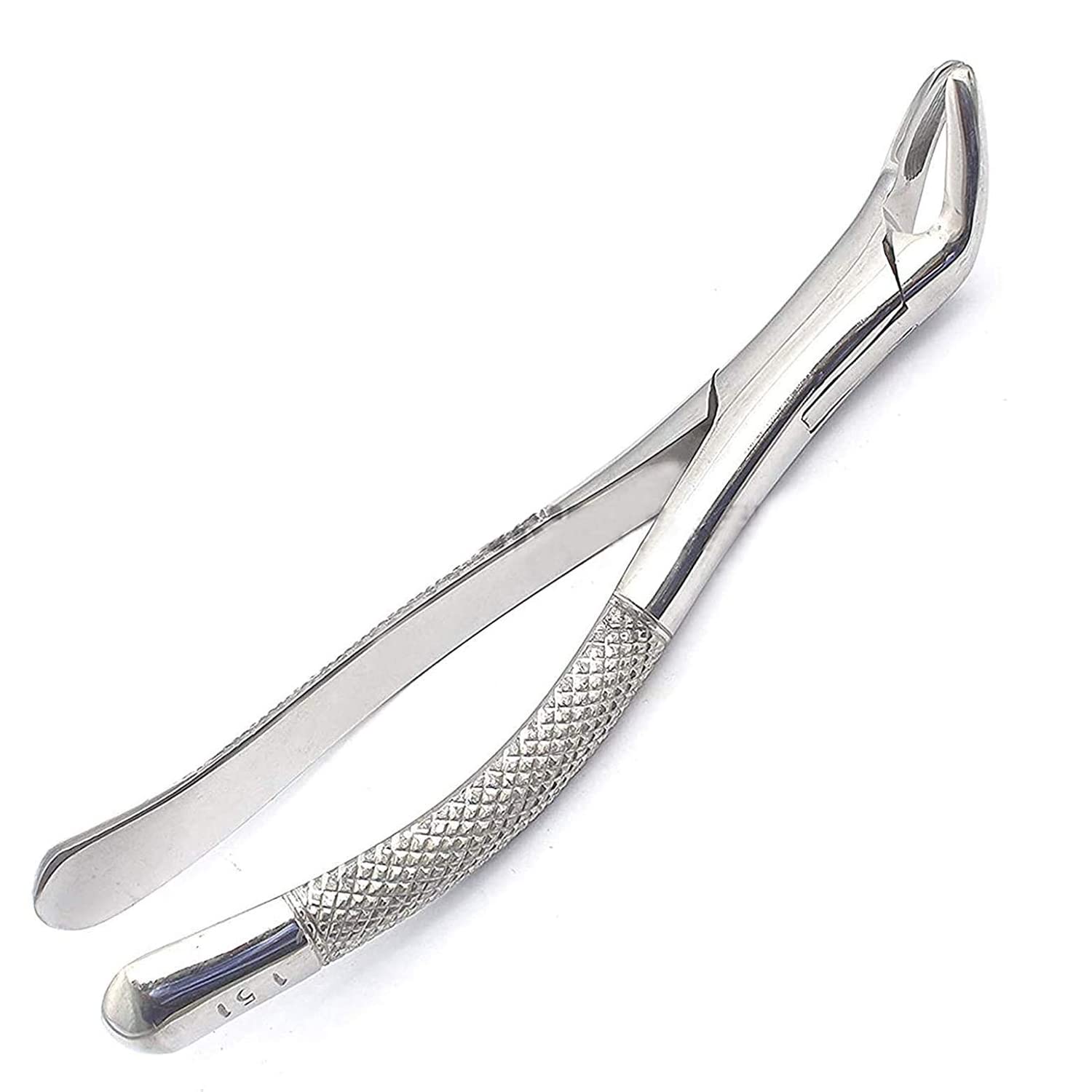 LAJA IMPORTS 1PC Dental Instrument 151# EXTRACTING Forceps Stainless Steel