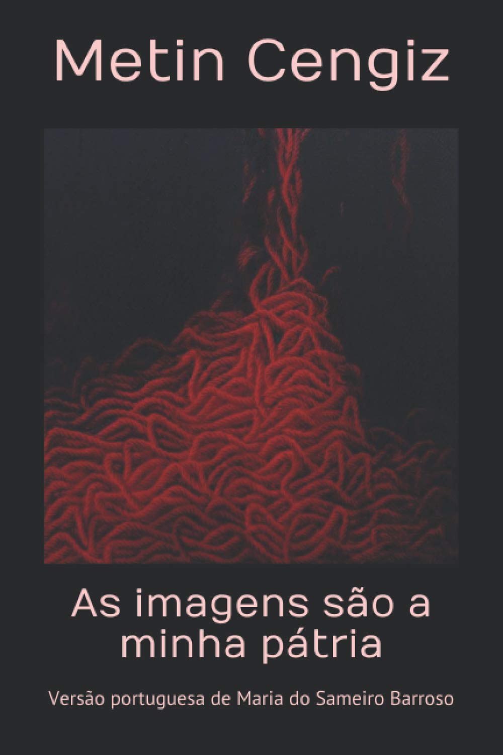 As imagens são a minha pátria: Versão portuguesa Maria do Sameiro Barroso