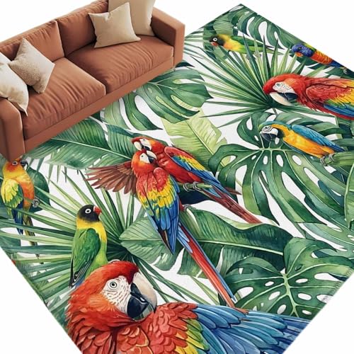 Tapete Rectangular Decorativo 5x8 ft Multi Color