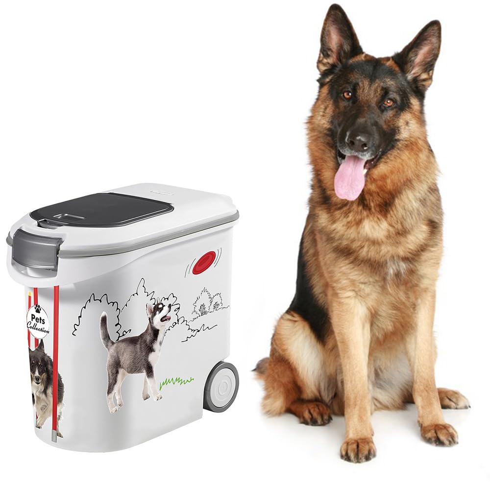 PALUPLUS Contenitore per Crocchette per Cani, misura 28x50x43 cm, Porta crocchette con Coperchio e Ruote, Chiusura Ermetica Antiodore, per Cibo Secco, Capacità 35 Litri -430C (12 kg)