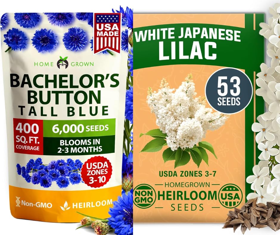 HOME GROWN Bachelor Button Seeds Tall Blue 6000 & HOME GROWN 𝗨𝗦𝗔 ...