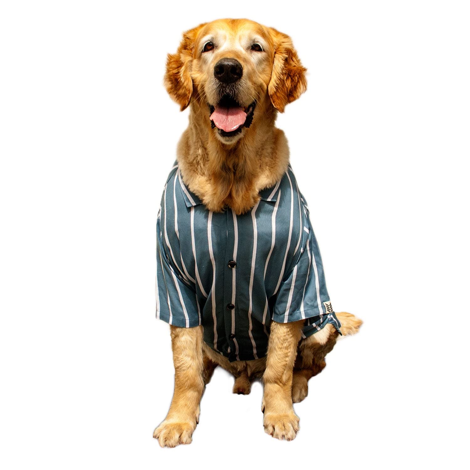 Ruse Pet Teal Striper Dog Collar Shirt | SoftTech Fabric Half Sleeves/Apparel/Clothes Shirt Gift for Dogs.(XXS) (B0B2PG8333) Amazon Price History, Amazon Price Tracker