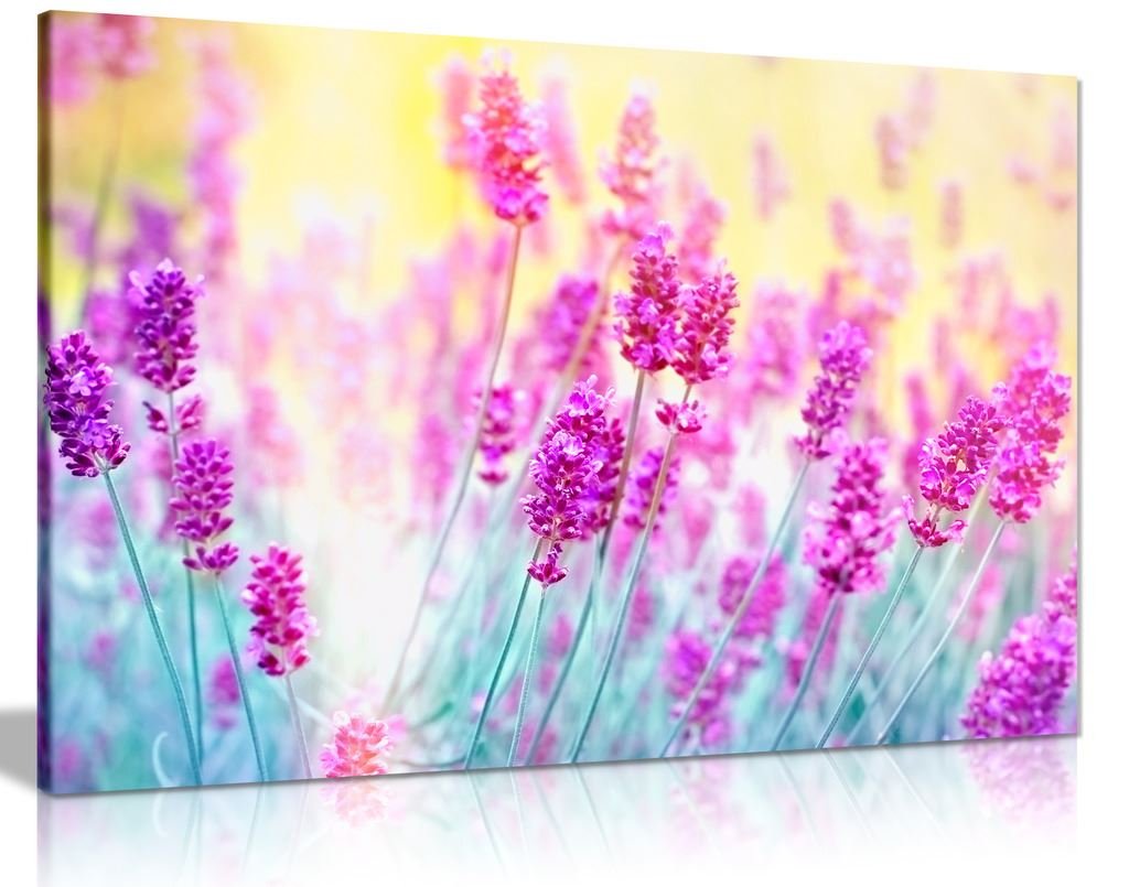 Panther Print Purple Tranquil Lavender Flower Aromatherapy Herbal Canvas Wall Art Picture Print (24X16)