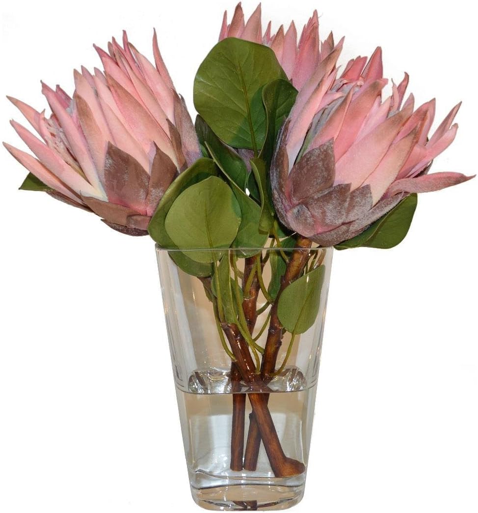 Pink Protea in a Glass Vase-Pink