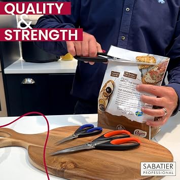 Sabatier Professional All Purpose Scissors – Heavy Duty 25cm Stainless Steel Utility Shears with Soft Grip Handles. Perfect for Fabric, Paper, Herbs, Vegetables & Household Tasks. Dishwasher Safe