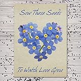 VICTONY Set of 25 Forget-Me-Not Seed Packet Favors (F01) Watch Love Grow