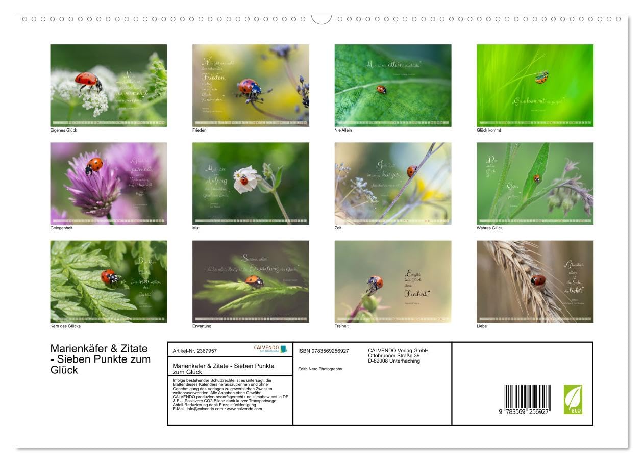 CALVENDO - Marienkäfer & Zitate - Sieben Punkte zum Glück (hochwertiger Premium Wandkalender 2027 DIN A2 quer), Kunstdruck in Hochglanz: Glückskäfer-Kalender: Zitate und Fotos