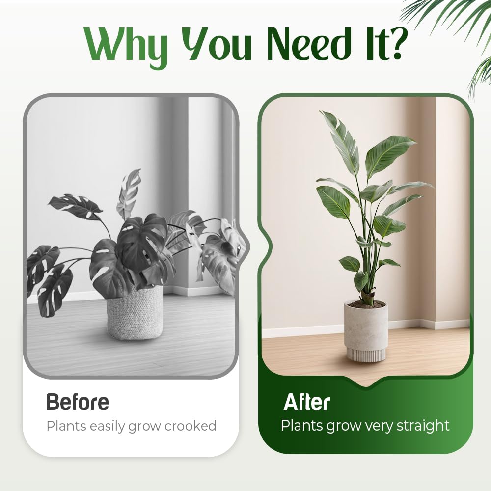 Monstera Lot de 10 supports pour plantes grimpantes - Stabilisateur durable - Clips de jardin pour plantes grimpantes - Support de tige de plante idéal pour une croissance prospère (10 pièces, #A)