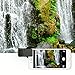 Zomei 37mm Cell Phone Camamera Lens Professional ND Circular Filter ND2-ND400 for Samsung Most Smartphones