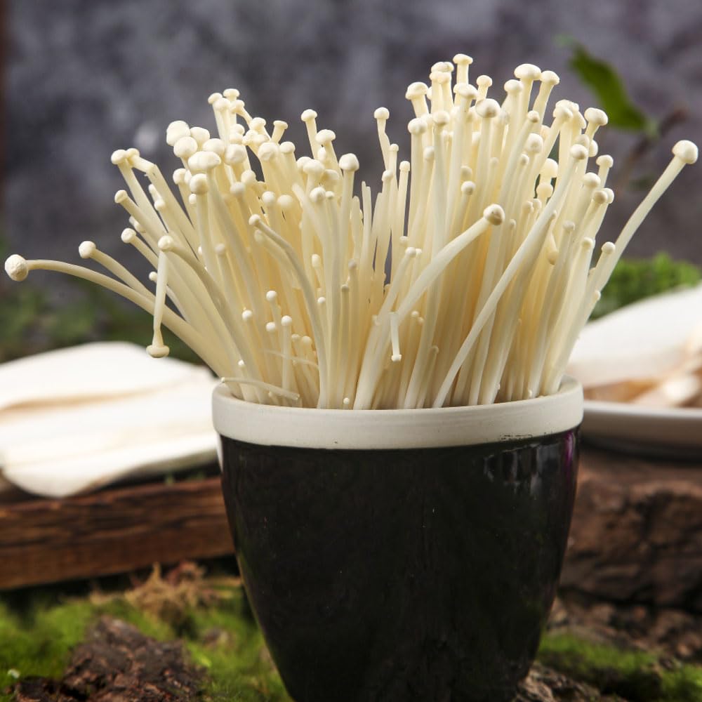 300 pcs enoki pilze samen - deko bro alte gemsesorten samen topfpflanzen  kruter gewchshaus mushroom,fungi,pilz, exotische zimmerpflanzen balkon  gemse bohnenkraut samen balkonpflanzen : Amazon.de: Garten
