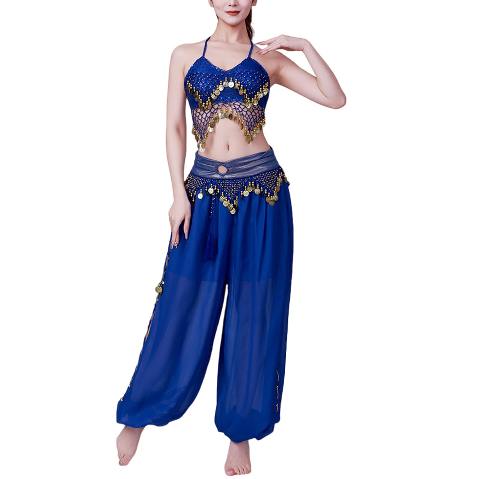Set di 2 costumi da danza del ventre da donna, reggiseno a moneta, top harem, pantaloni, costumi da palcoscenico per Halloween, set di costumi