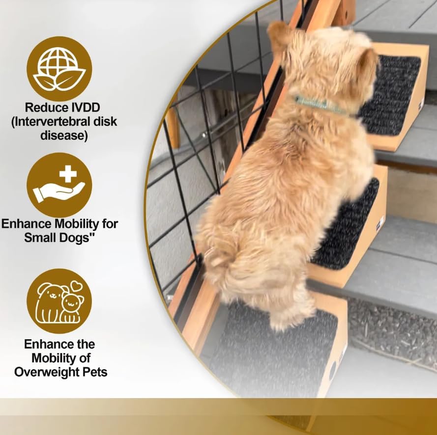 Cork and Carpet Modular Pet Ramp for Small Dogs