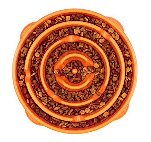 Slow Feed Dog Bowl Slowly Bowly By 2Pet. Fun Interactive Dog Dish For Fast Eaters. Prevent Bloating. Fun To Use Dog Bowl. Cat Feeder Friendly. [Skid Protection Upgraded] #TOP6